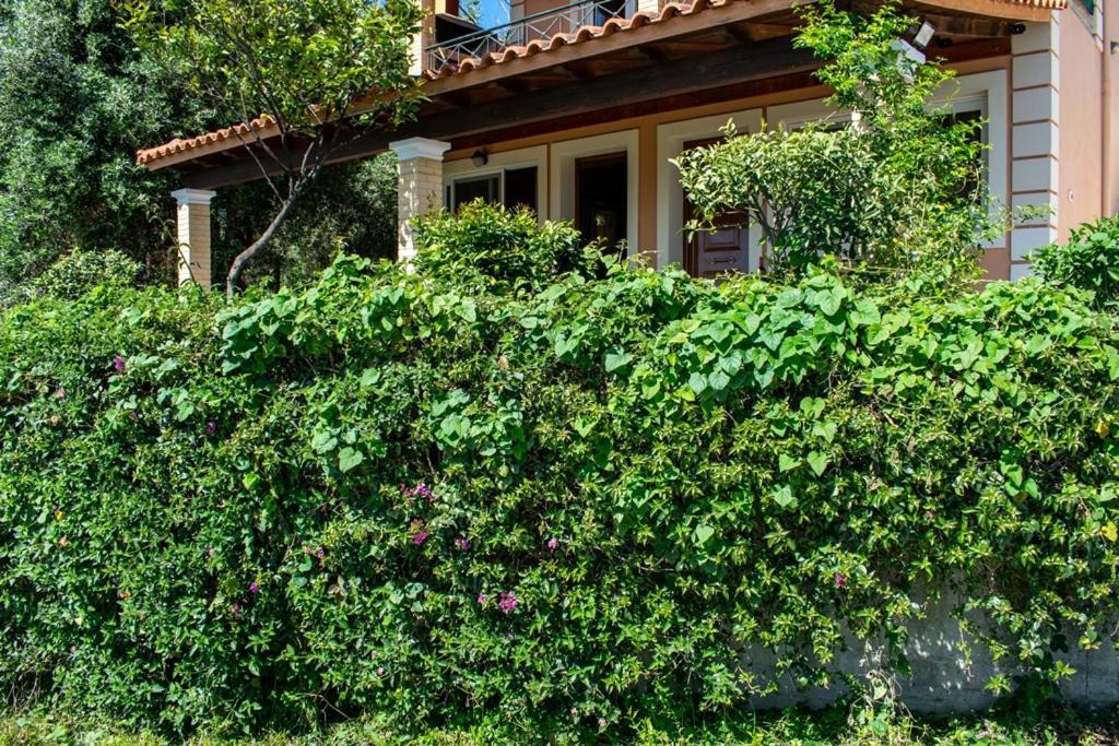 Takis & Eirini Family Apartments Perama (Corfu) Exterior foto