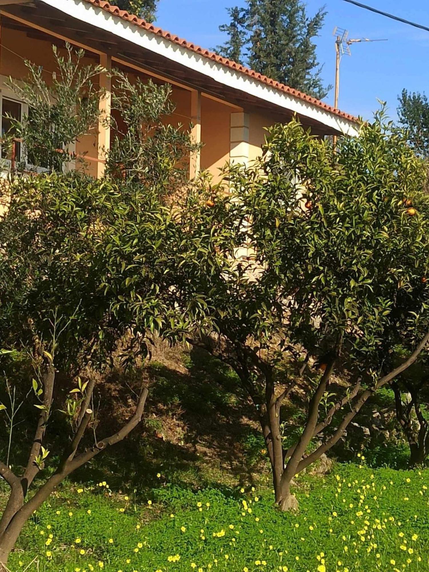 Takis & Eirini Family Apartments Perama (Corfu) Exterior foto